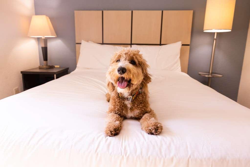 Sonesta Simply Suites Jersey City - Newly Renovated Exterior photo